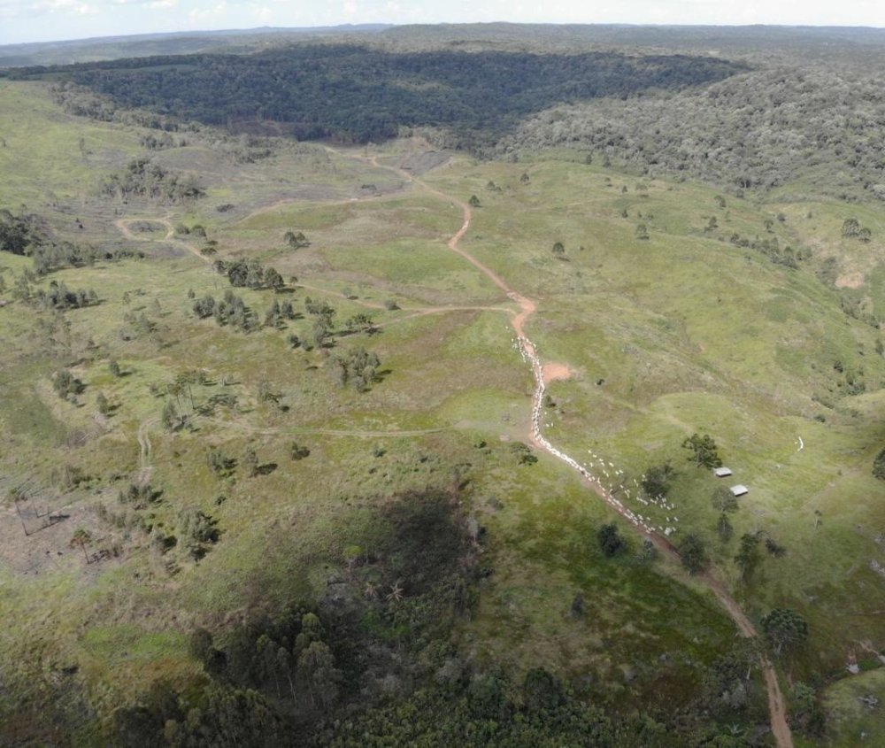 Fazenda - Venda - Entre Rios - Guarapuava - PR