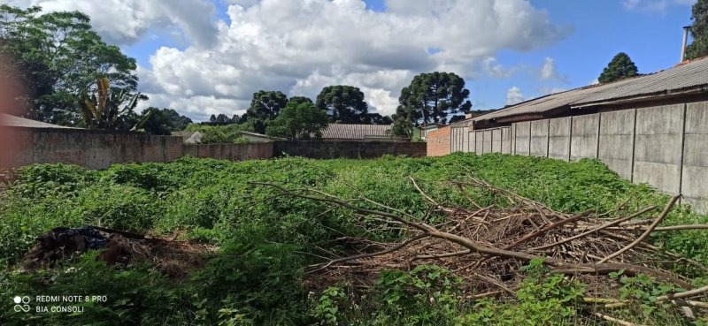 Terreno - Venda - Morro Alto - Guarapuava - PR