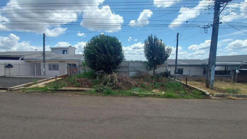 Terreno - Venda - S�o Crist�v�o - Guarapuava - PR