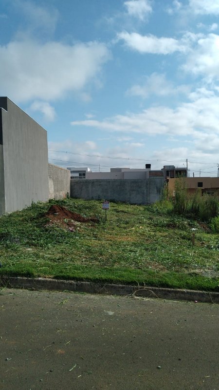 Terreno - Venda - Alto Cascavel - Guarapuava - PR