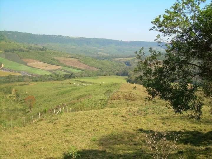 Fazenda - Venda - Rural - Guamiranga - PR