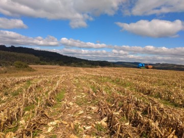 FAZENDA 28 ALQUEIRES - JORD�O